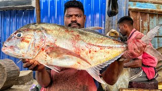 KASIMEDU 🔥SPEED SELVAM | BIG TRAVELLY FISH CUTTING VIDEO | 4K VIDEO | CS FISH CUTTING