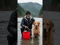 "Hero Dog Saves a Life: A Tale of Courage and Rescue" #dog #rescue #viral #shorts