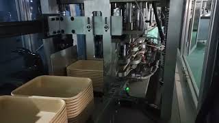 Eco-Friendly Takeaway Box Press - Recyclable PE-Coated Paper Container Line Rectangle Design