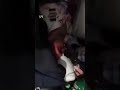 Un piloto de Flydubai fue apuñalado por el copiloto durante un vuelo con destino a Israel