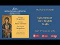 Schubert - Magnificat D. 486 in C major - Allegro maestros