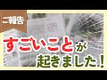 大好きなガーデニングを発信し続けていたら、衝撃の展開が起こりました！