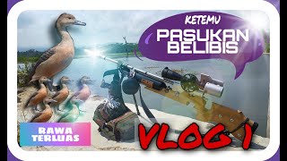 berburu belibis - RAWA TERBESAR KRUI LAMPUNG