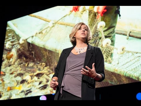 How shared knowledge can benefit humans and animals | Claire Simeone