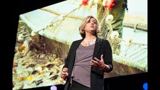 How shared knowledge can benefit humans and animals | Claire Simeone