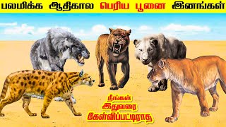 Top 7 Prehistoric Powerful Wild Cats | பலமிக்க ஆதிகால பெரிய பூனை இனங்கள்