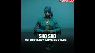 Kibo Da Dj Ft ShaSha-No Ordinary Love[bootleg]