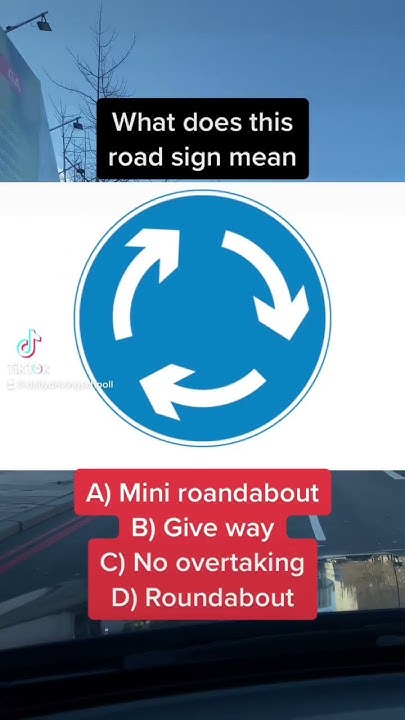what-does-this-road-sign-mean-fyp-foryou-viral-trending-driving
