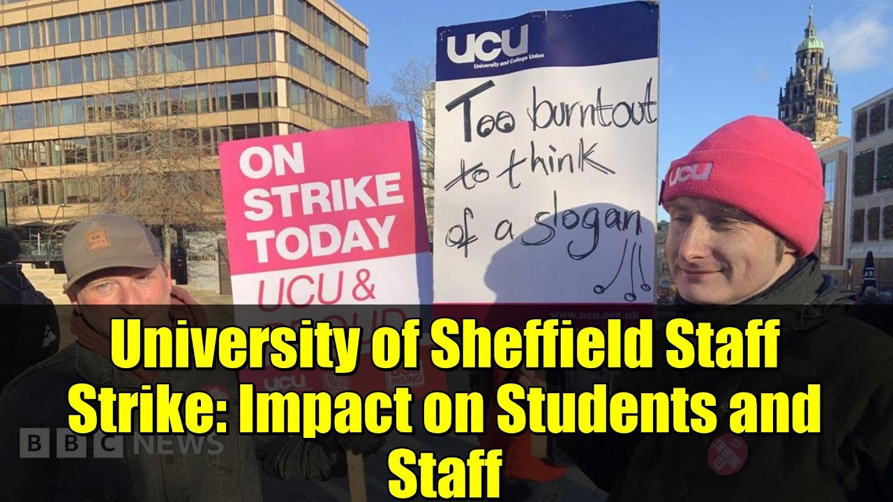 Забастовка сотрудников Университета Шеффилда: влияние на студентов и сотрудников