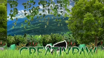 Intro For CreativPaw! (Intro Winner!)