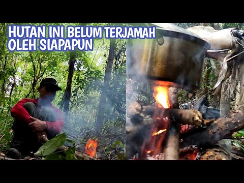 AWAL MULA BERJALAN DAN MAKAN DIHUTAN | EPS 1