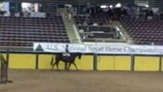 SHN HA Hunter Hack AOTR
