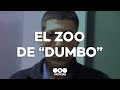 A LO PABLO ESCOBAR: EL ZOOLÓGICO DE "DUMBO", el NARCO de LUGANO - Telefe Noticias