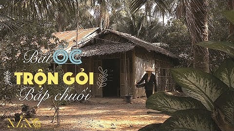 Bắt ốc trộn gỏi bắp chuối | Hương Nắng - Tập 1