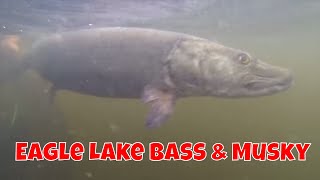 Bass & Musky Action on Eagle Lake | Century Lodge