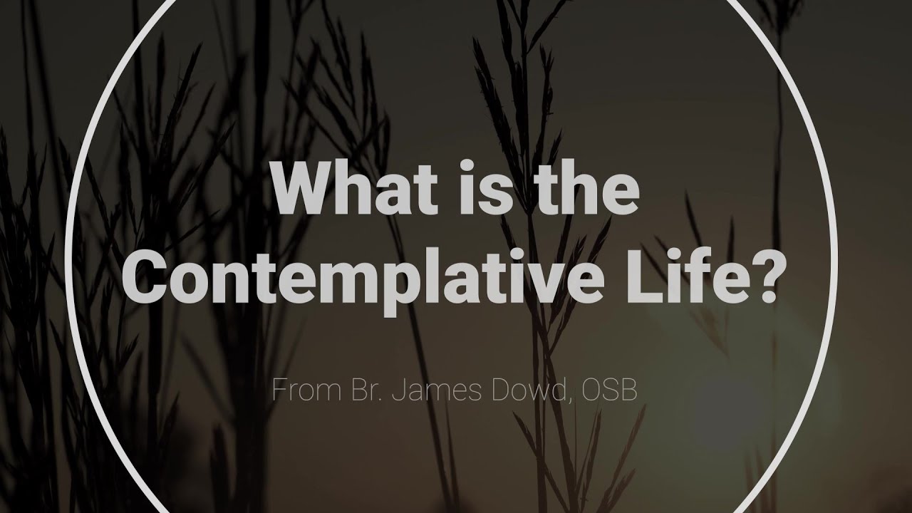 What is the Contemplative Life?
