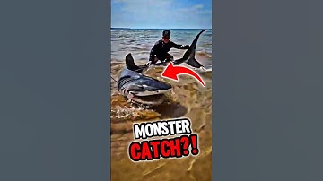 He Fought This Thing For 6 Jours and 7 Minutes! | #shorts #fishing