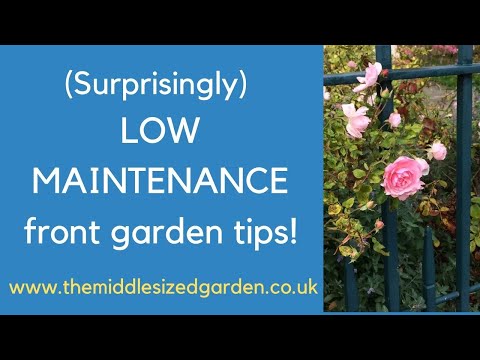 Vídeo: Easy-Care Gardens - Aprenda sobre jardinagem de baixa manutenção