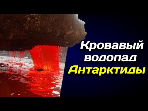 Видео: Антарктидын тухай хуйвалдааны 10 онол