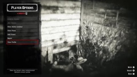 Red Dead Redemption 2 Online Lag switch EXPOSED