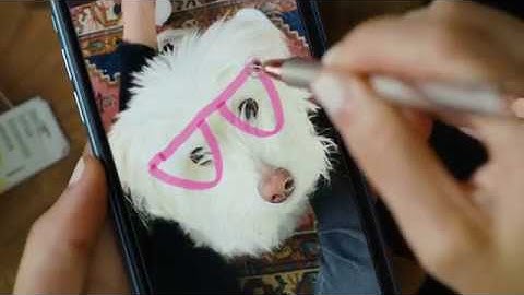 Adonit Pro 4 A Luxury, High-Precision Disc Stylus for All Touchscreens