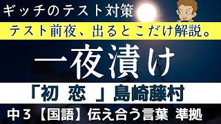 中3国語【初恋】伝え合う言葉 中学国語３ テスト直前に出るところだけ解説！