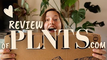 Unboxing Houseplants from PLNTS.com | Honest Review