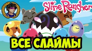 Слайм Ранчер ВСЕ слаймы (2024) | Slime Rancher ВСЕ слаймы (2024)