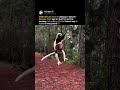 The dance of the Sifaka Lemur 🦥