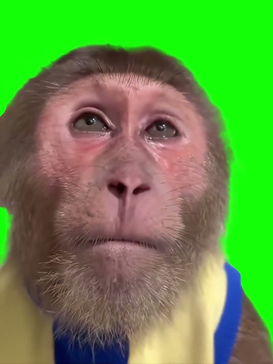 Monkey Crying meme - Green Screen