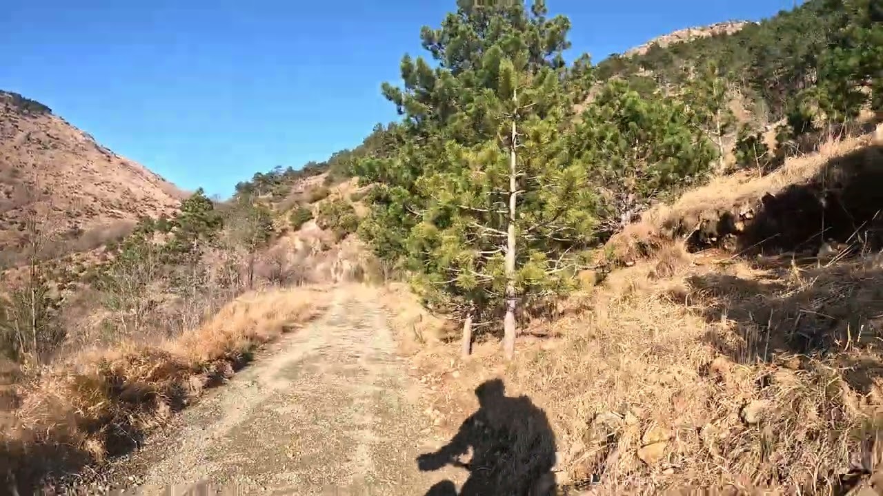 ARENZANO PASSO GAVA 3_11022026