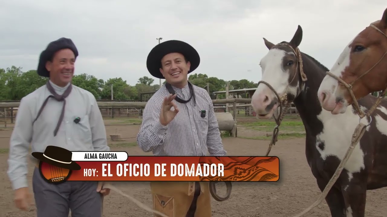 ALMA DE DOMADOR - ALMA GAUCHA - MILTON PINO - PROGRAMA COMPLETO