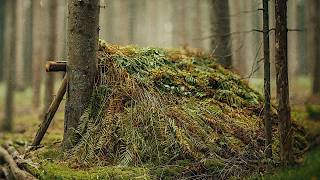 Building a Survival Shelter For Winter - 3 Days