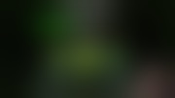 Dashie VEVO The Song Of Puh