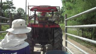 Ride behind a tractor in Thailand - DSCF4897.avi