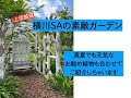 ［ガーデン レポート］横川ハイウェイガーデンで撮った、真夏のおすすめ植物をご紹介