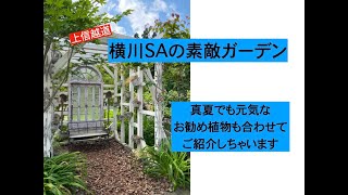 ［ガーデン レポート］横川ハイウェイガーデンで撮った、真夏のおすすめ植物をご紹介