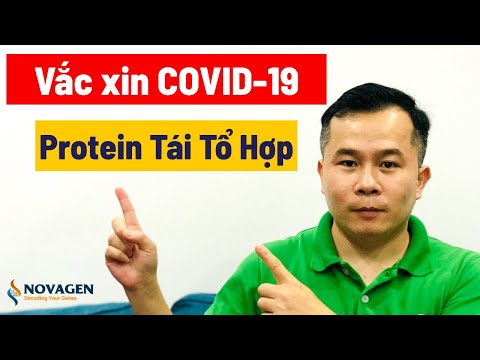 Video: Sản phẩm tái tổ hợp là gì?