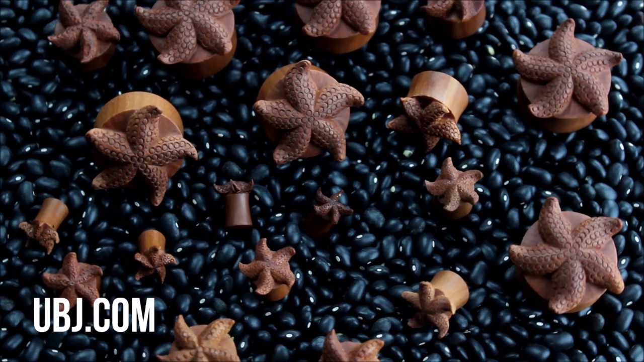 Starfish Saba Wood Plugs (2G - 1 & 1/8