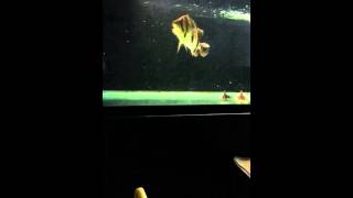 20140205_112829.mp4