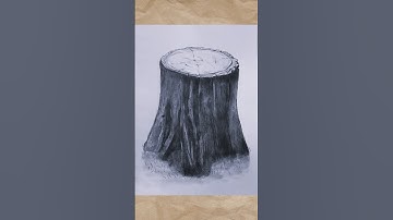 Drawing a Tree Stump.  #drawing