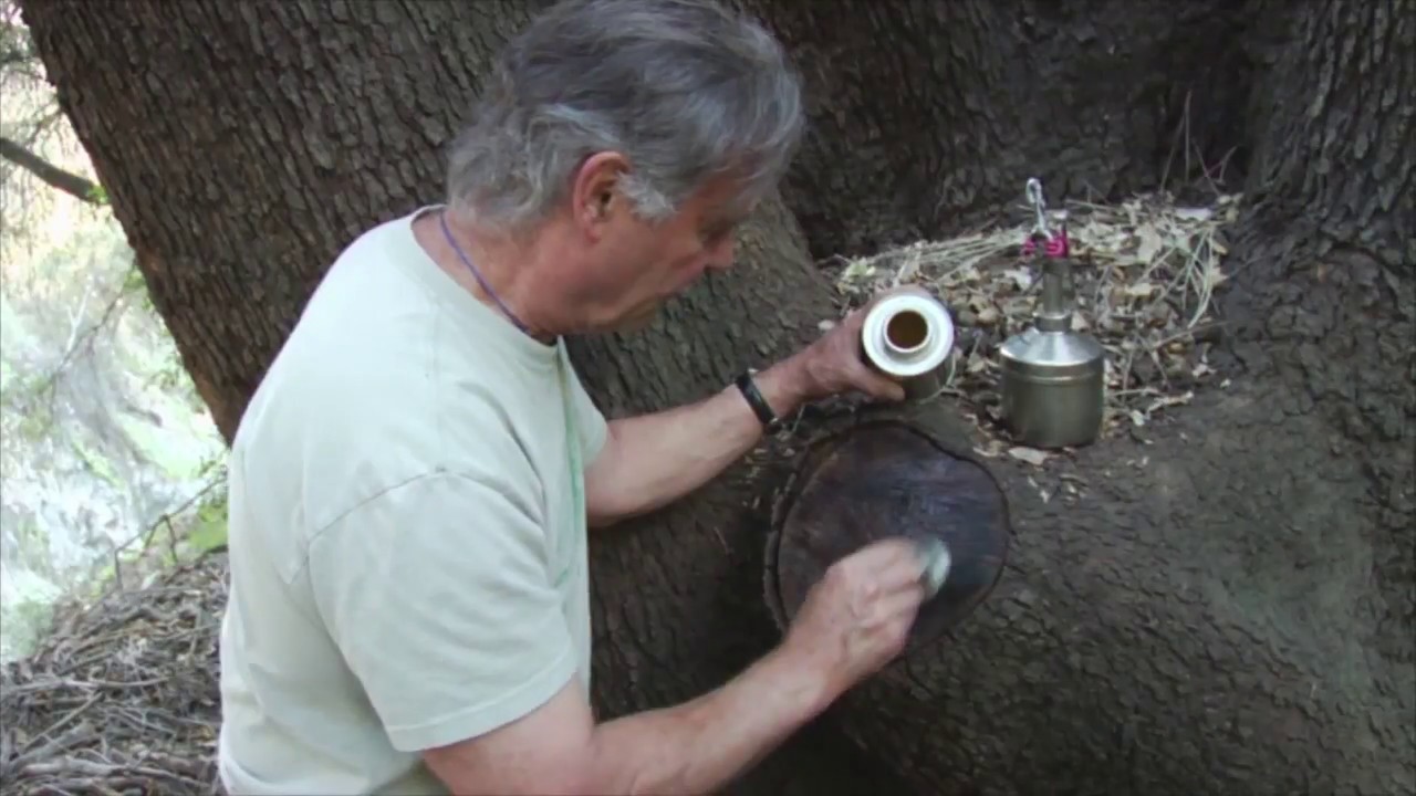 Follow-Up:  Excision of a Large Lateral Limb - Prune Like a Pro