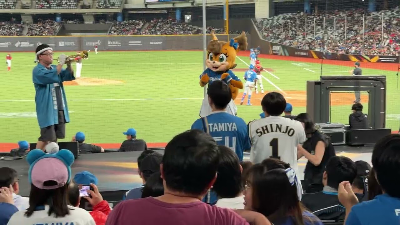 8局上2026.2.28 2026台日棒球國際交流賽 北海道日本火腿鬥士 - 味全龍 台北大巨蛋 8局上 啦啦隊應援