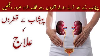 Urine Drops Problems | Peshab Ke Qatron Ka Ilaj | Treatment Urdu/Hindi | Hakeem Malik Ahmad Farooq