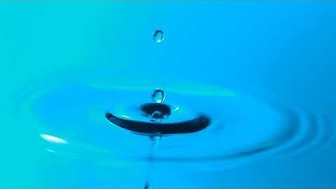 Psychology Experiment: Memory and Recall