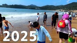 避暑！盛夏将至！你的2025大连长海县广鹿岛旅游攻略请收好！ 夏天来大连长海县广鹿岛消暑度假，乘船喂海鸥！看治愈系海景！吃海鲜大餐，畅游广鹿岛月亮湾海滨浴场！#旅行推荐官 #带你去看海 #治愈系风景