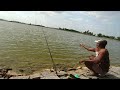 Catching jallafish & wallago fish | baam fishing