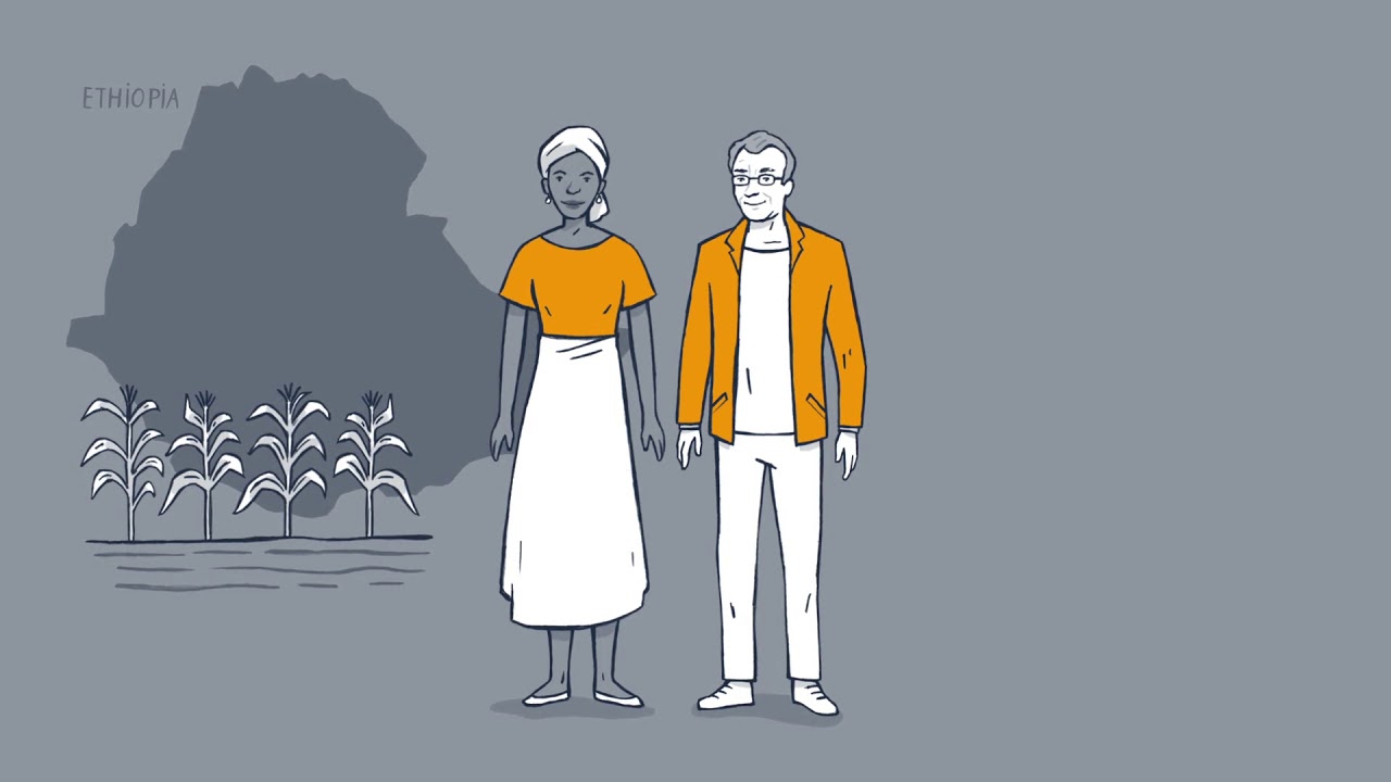 Ziviler Friedensdienst (ZFD) der GIZ - Erklärfilm