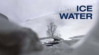 From Ice to Water. The Spring Drama