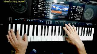 Vangelis - La Petite Fille de la Mer cover Yamaha PSR SX-900